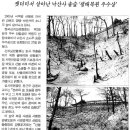 솔숲미디어 이미지
