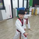경희대 청룡태권도 이미지