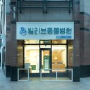 빌리브동물병원 이미지