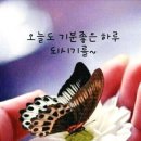 찬사랑 Daum카페