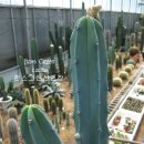 신목농장 이미지