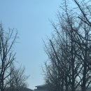 명불허전 | [안양CC] 명불허전(名不虛傳) 라운딩 후기