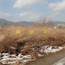 신월동133 이미지