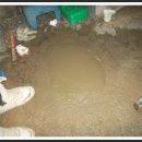 남일상회 이미지