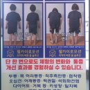 카이로운동센타 | [공지] 일자목 카이로프래틱 공덕역 체형 교정 자세교정 웰카이로모션