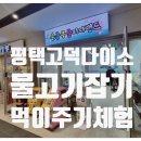 피시랜드 이미지