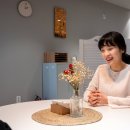 변호사이봄법률사무소