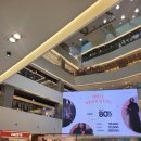 NC 신구로점 1층 | "이 가격 실화?” NC백화점 신구로점 겨울 세일, 시슬리 70~80%에 패딩 득템