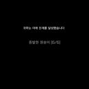 더 몽키즈