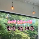 하우앤여우