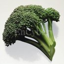 장수웰빙식품 이미지