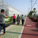 김종배농장 이미지