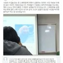 故 노무현 대통령 얼굴 덧씌운 고래 회충 사진 사용한 경북대 강사 이미지