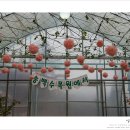 송백펜션 이미지