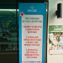 중앙동138 | 여수 중앙동 바다김밥 중앙본점 갓참치, 중화어묵, 명란오믈렛 솔직 후기