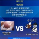 야구사망토론 이미지