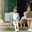 고모네 민박 이미지