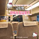 특급 | [간사이공항→교토 이동] 특급 하루카 탑승 후기 &amp; 티켓 최저가 예매 방법