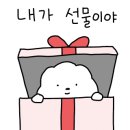 멍뭉워시 네이버블로그