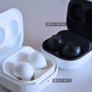킹성비 이미지