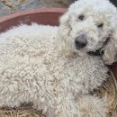 성정농장 이미지