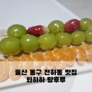 와하하탕후루 이미지