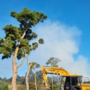 대송농장 이미지