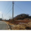 봉황산 입구 이미지