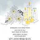 허영구내과 네이버블로그