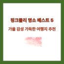 사광농장 | 핑크뮬리 명소 베스트 5 - 가을 감성 가득한 여행지 추천