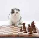 구성동물병원 이미지