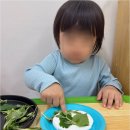 마전어린이집 | 가까이에서 만나는 검단신도시어린이집, 영남어린이집의 매력을 알아보아요!