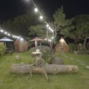 카페캐빈하우스 이미지