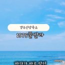 1975 풀빌라 이미지