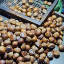 심양불고기 | 중국 옌타이 연태 자유여행 ③ 혼자 떠난 유부남 3일차, 그녀가 오는 날