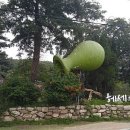 햇살로행정사 이미지