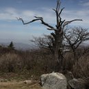 덕유산이야기 이미지