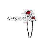시절인연 이미지