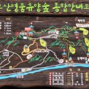대전친구들 제120차 정기산행 구례 오산& 사성암 산행 공지!~~ 이미지