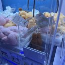 과일백화점 | 부산 해운대 센텀시티 신세계백화점 과일선물세트 후기뿅