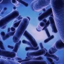 주식회사 코랩 이미지