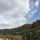 풀빌라펜션드위트리-1 이미지