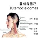 파인드 핏 네이버블로그