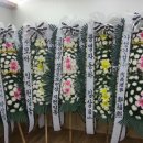제일장의사 이미지