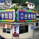 선경횟집 - 거제시 | 선경횟집