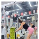 목로정 | 아식스 러닝화 추천 계급도 및 노바블라스트 내돈내산 후기!