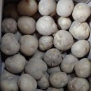 파시헬스클럽 | 티몬 블랙딜 감자 5kg 구매후기