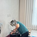 인천 무타공 벽걸이TV 설치 후기 선정리 간접조명 LED 시계