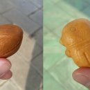 금정공중화장실 이미지