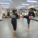 태권도 한국체육관 이미지